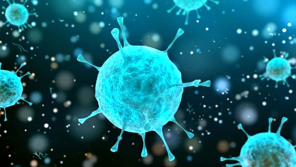 Sistema immunitario e infezioni