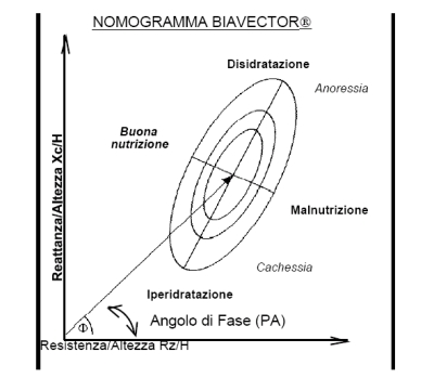 angolo di fase visita nutrizionista   smnf